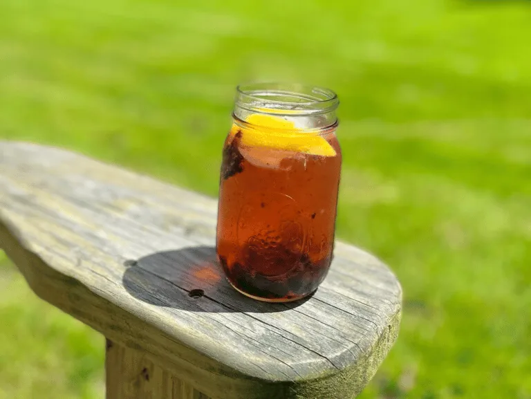 Lemon Blueberry Fizz