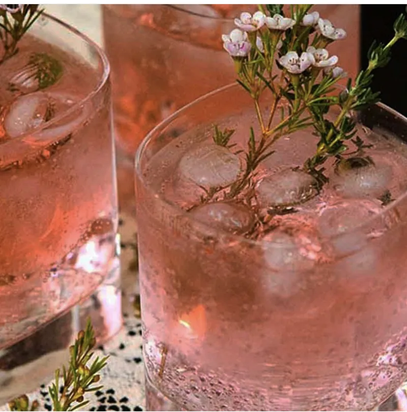 Cherry Gin and Tonic